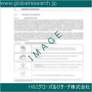 グローバルリサーチ調査資料のイメージ